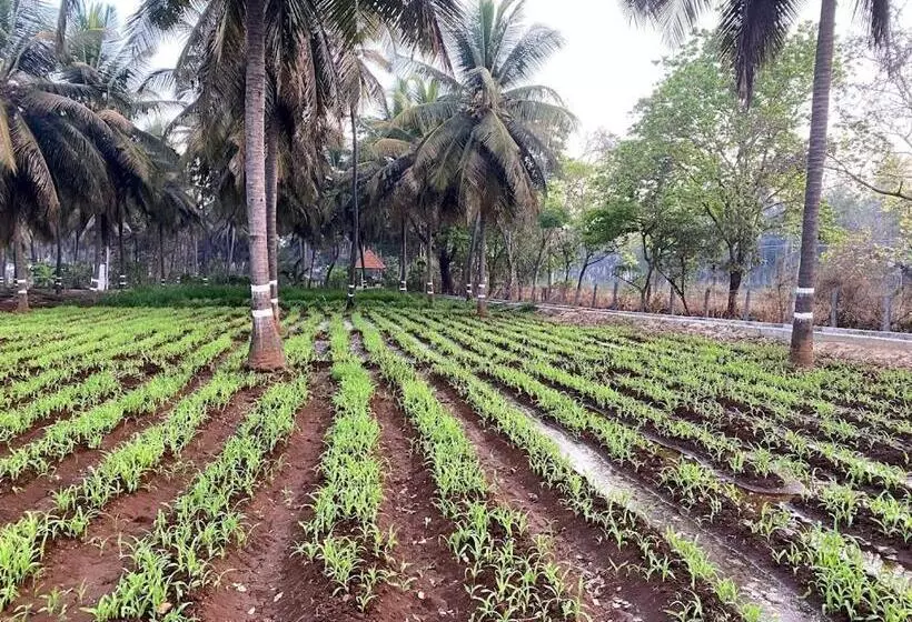 ホテル Chakra Farms