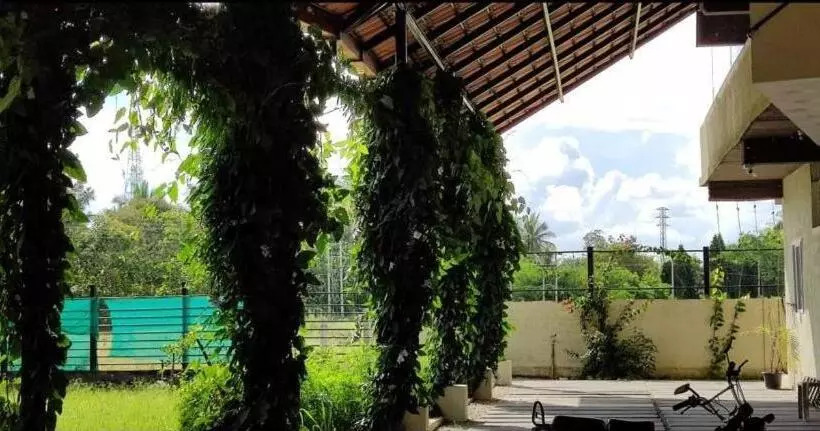 ホテル Chakra Farms