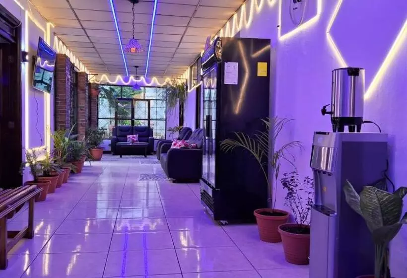 هتل Kamelot Parque Central