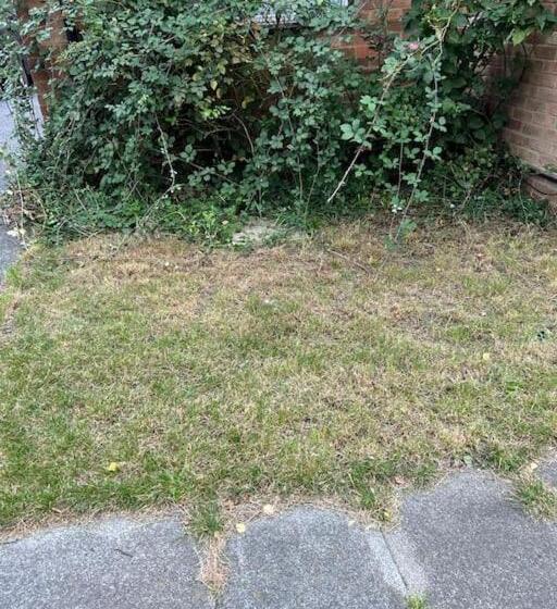 פנסיון Dorcas Lodge   Lovely House With High Speed Wifi And Free Parking