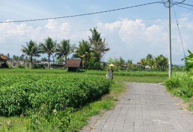 Pensão Krisna Tapan Guest House