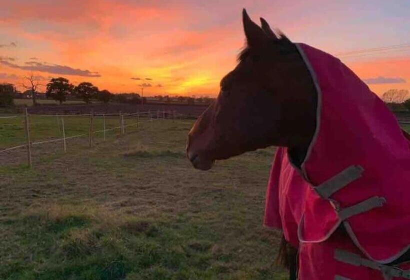 ペンション Wellbet Farm