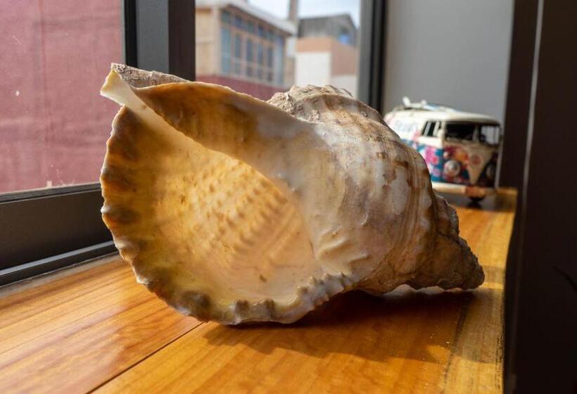 هتل Dar Makai Surf