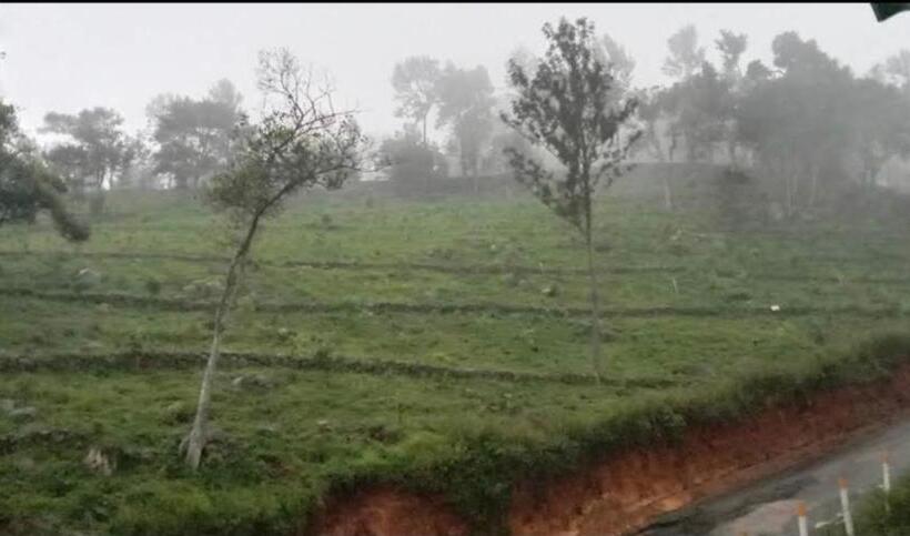 Hotel Linga Rooms And Cottages