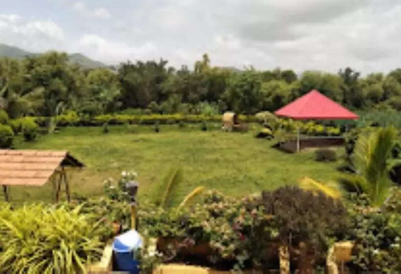 ホテル Rutugandh River View Resort, Wai