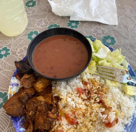 בית מלון כפרי Tropical View