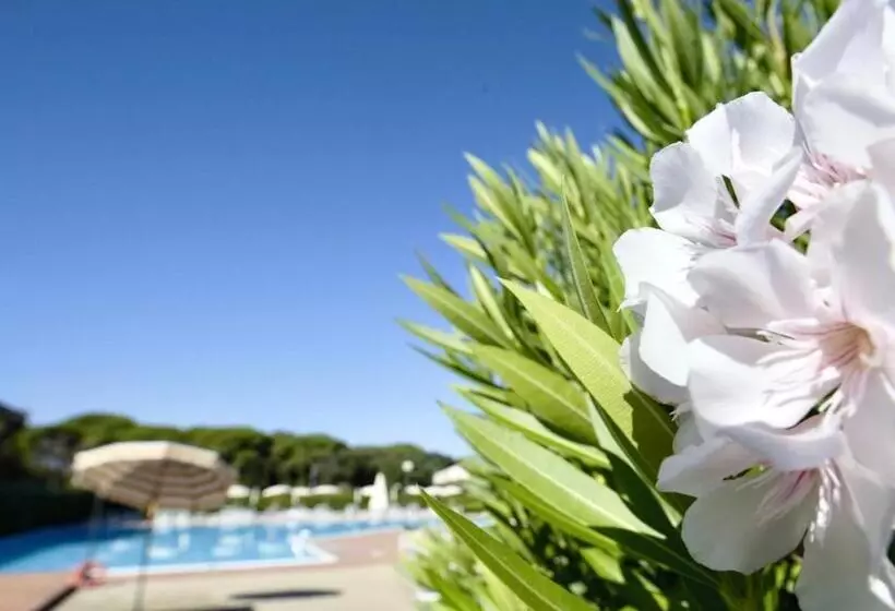 Isa Apartments For 6 People, 2 Bedrooms, In Residence With Swimming Pool In San Vincenzo, Just 600 M