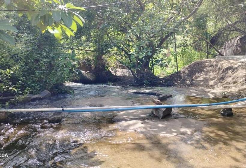 פנסיון Hidden Place