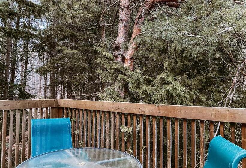 بنسيون Irish Mountain Suites