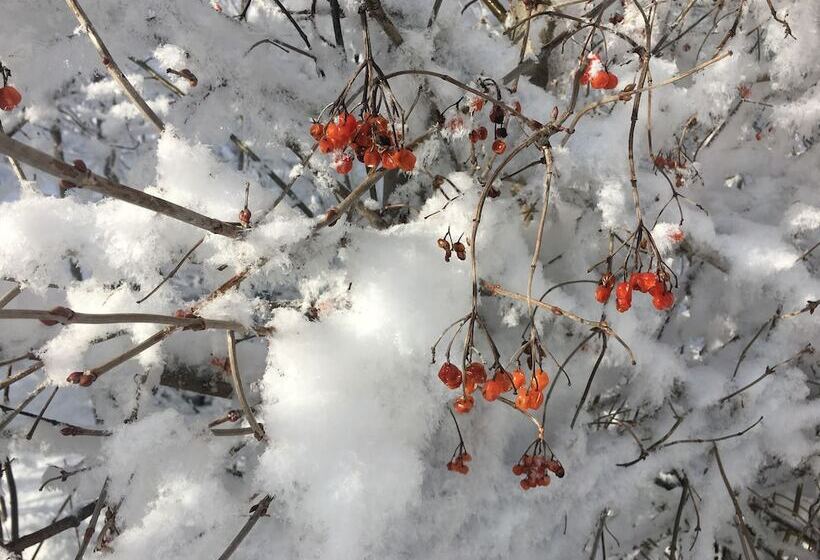 Alpin Hotel Garni Eder Private Living