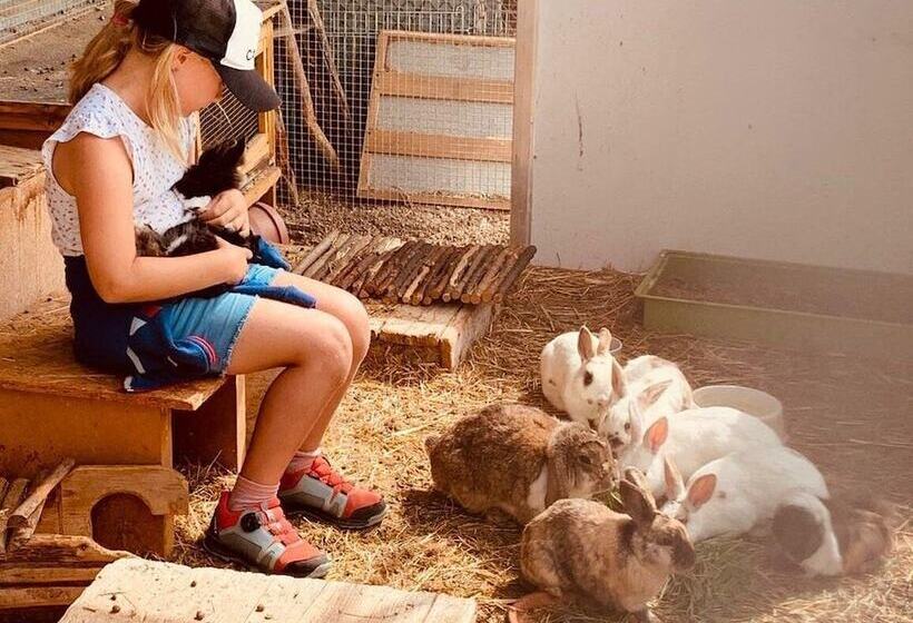 Das Hopfgarten Familotel Tirol