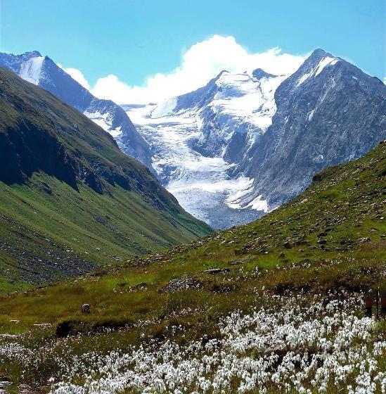 酒店 Appartements Gufler