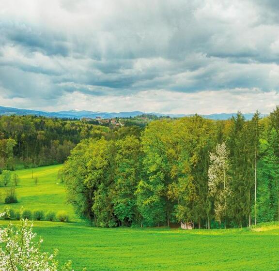 فندق Frühstückspension Zanglhof