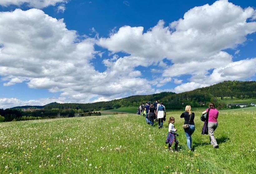Отель Gasthof  Zum Alten Turm