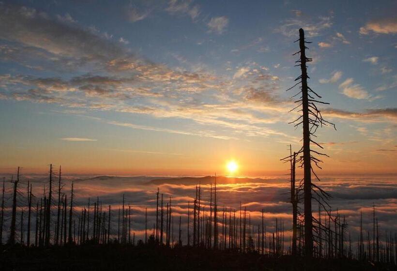 Отель Gasthof  Zum Alten Turm