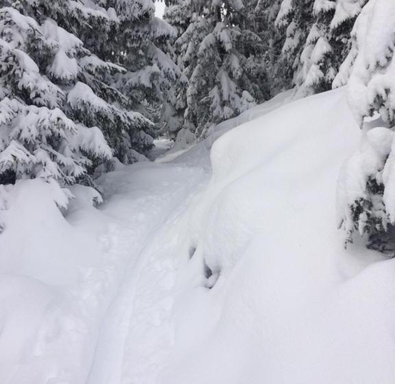 هتل Gästehaus Pirker