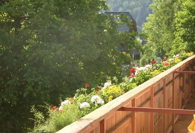 Hotelli Haus Alpenrose