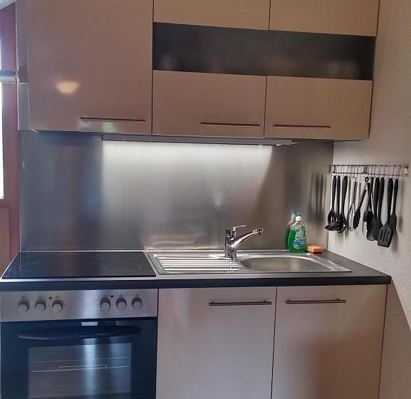 בית מלון כפרי Sonnblick