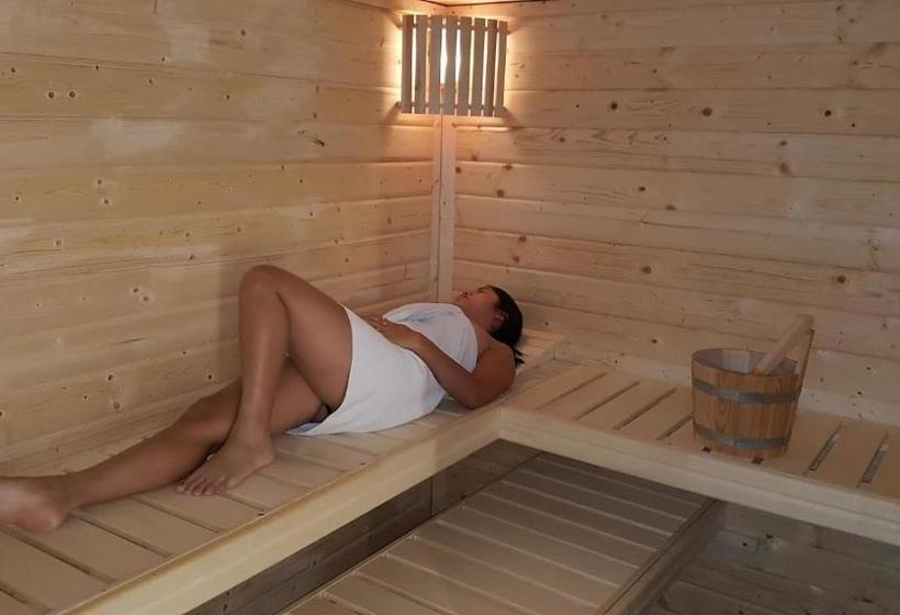 בית מלון כפרי Sonnblick