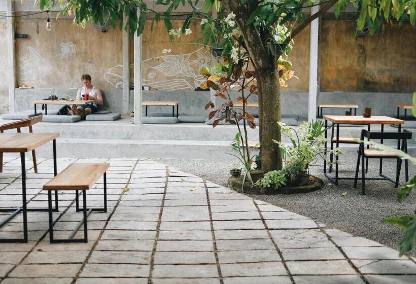 هاستل Plan B Coliving & Coworking