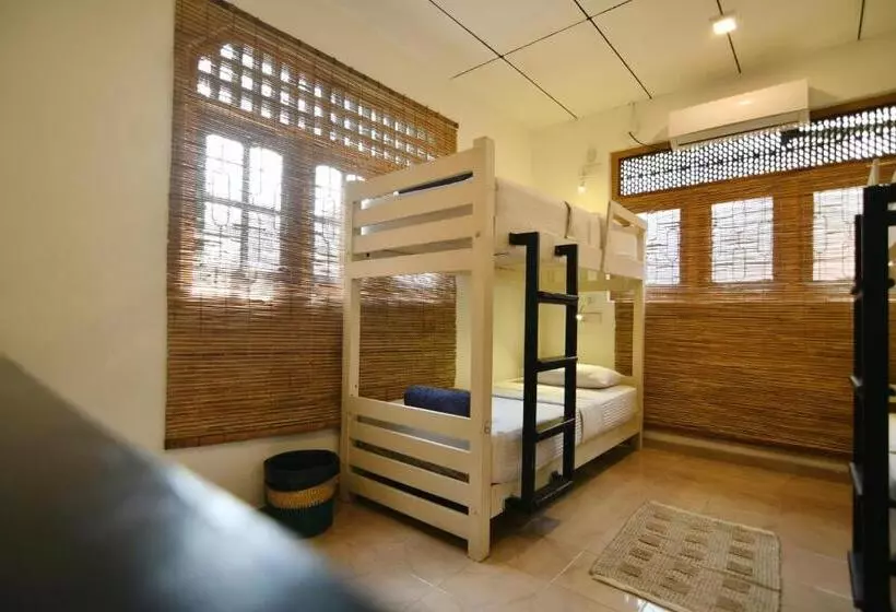 ユースホステル Plan B Coliving & Coworking