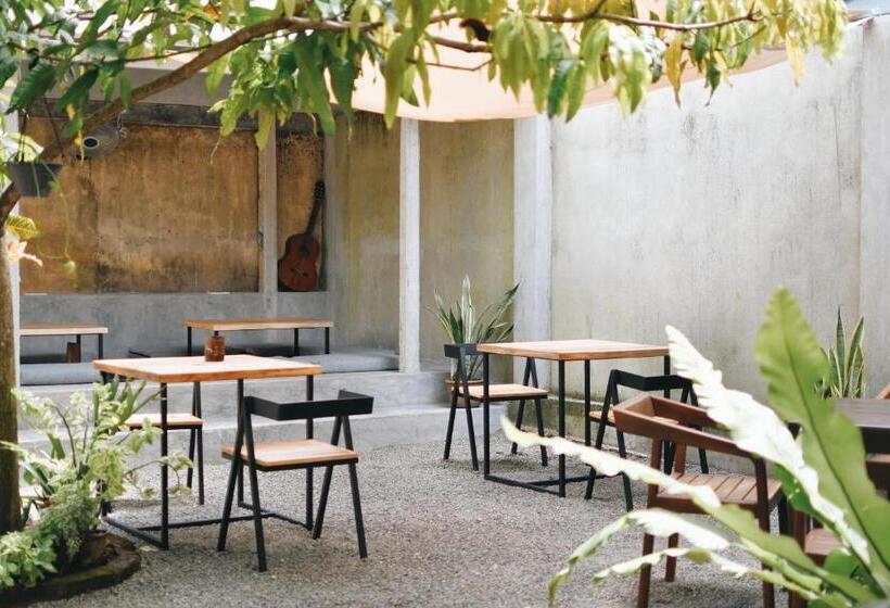 هاستل Plan B Coliving & Coworking