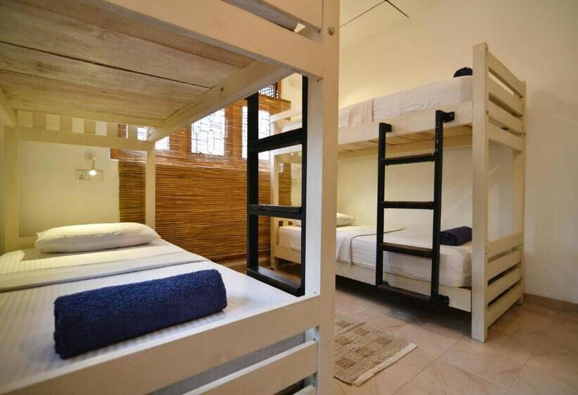 هاستل Plan B Coliving & Coworking