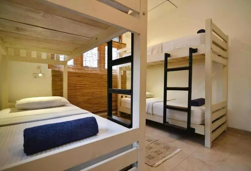 ユースホステル Plan B Coliving & Coworking