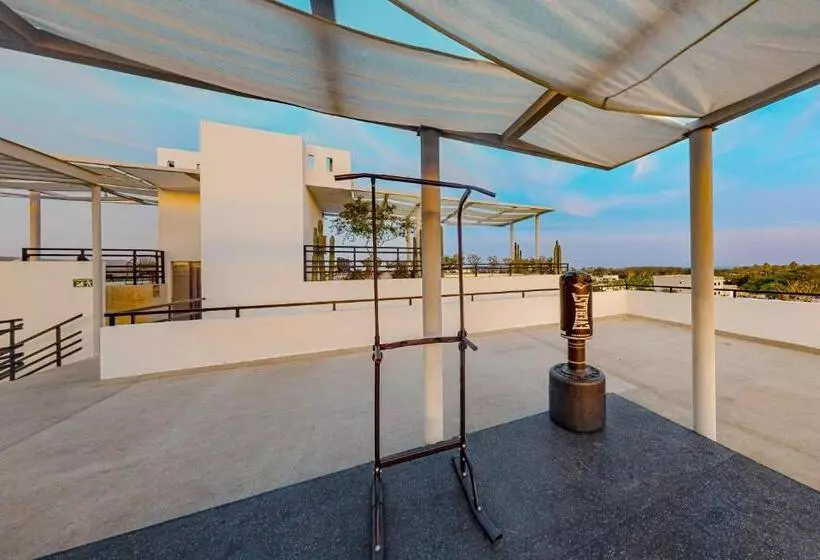 Cardinal Living San Jose Del Cabo D 301