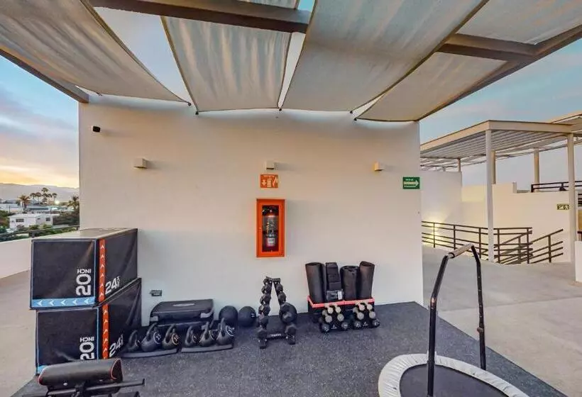 Cardinal Living San Jose Del Cabo D 301