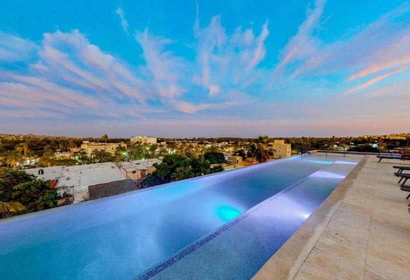 Cardinal Living San Jose Del Cabo D 301
