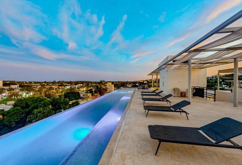 Cardinal Living San Jose Del Cabo D 301