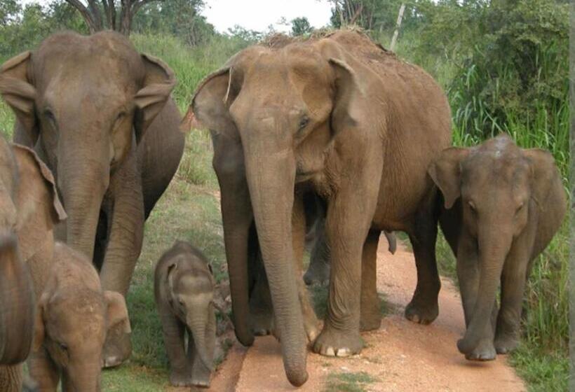 Hotel White House Udawalawe