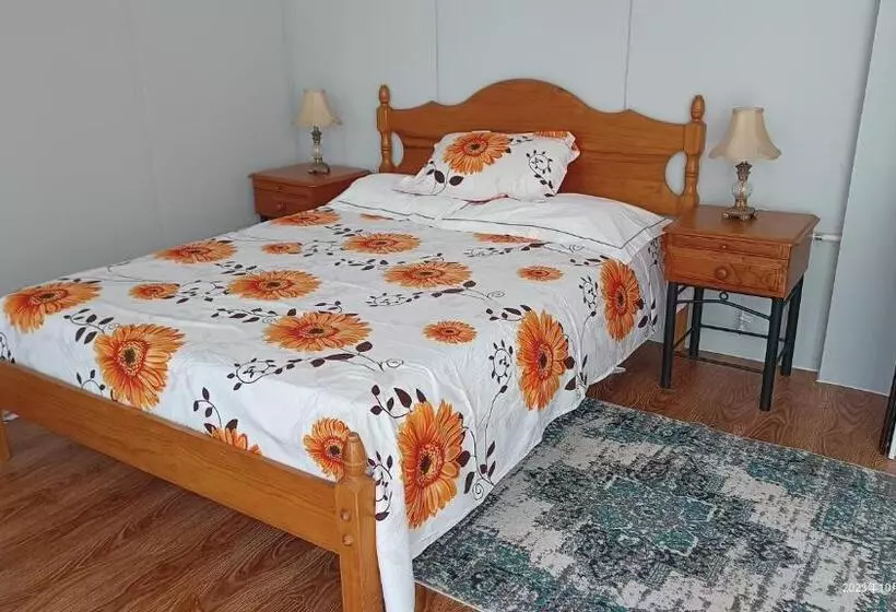 モーテル Springwood B&b