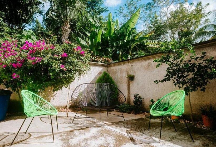 Majatalo Hostal Casa Cucu   Wifi, Hot Water, Ac, Free Water Refill   Stay 3 Nights Or More And Get 1 Day Free