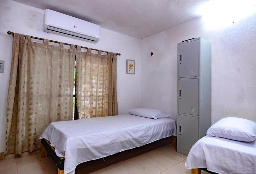 Majatalo Hostal Casa Cucu   Wifi, Hot Water, Ac, Free Water Refill   Stay 3 Nights Or More And Get 1 Day Free