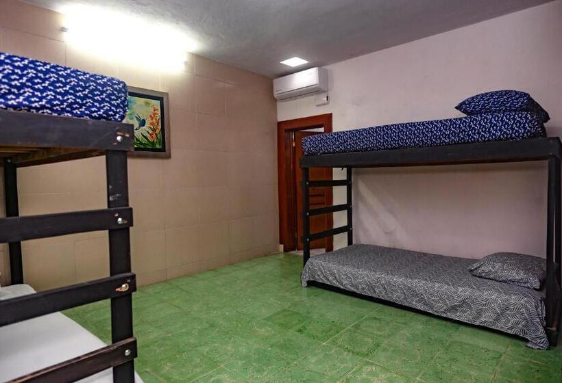 Majatalo Hostal Casa Cucu   Wifi, Hot Water, Ac, Free Water Refill   Stay 3 Nights Or More And Get 1 Day Free