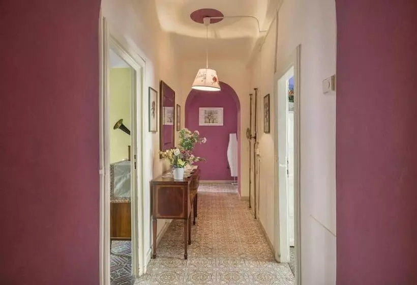 پانسیون Rooms Corte Delle Uova Centro Storico Piazza San Michele