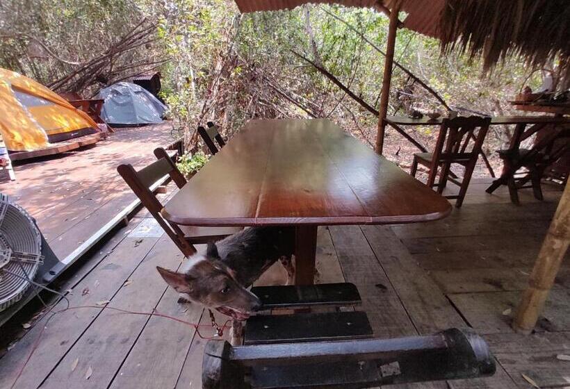 Общежитие Posada Corazon Mazunte