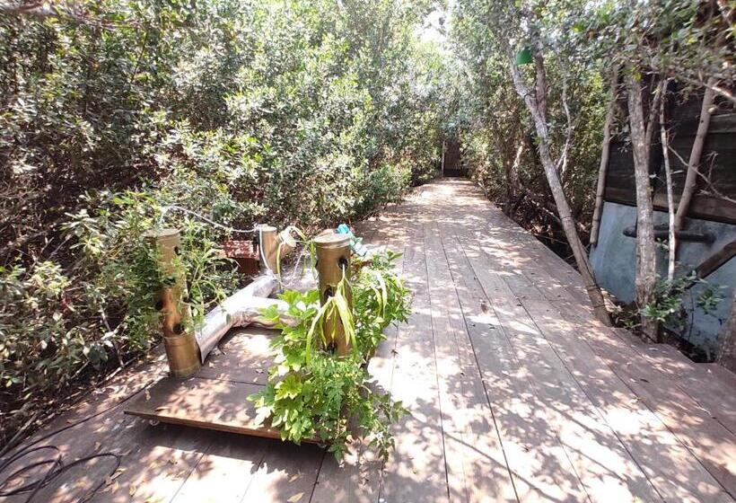 Общежитие Posada Corazon Mazunte