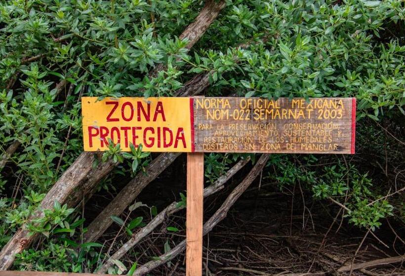 Общежитие Posada Corazon Mazunte