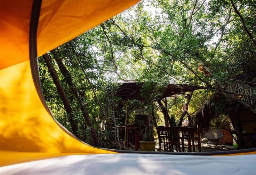 Общежитие Posada Corazon Mazunte