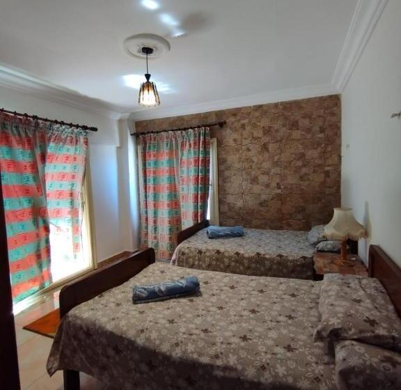 هتل Hi Alex Apartments