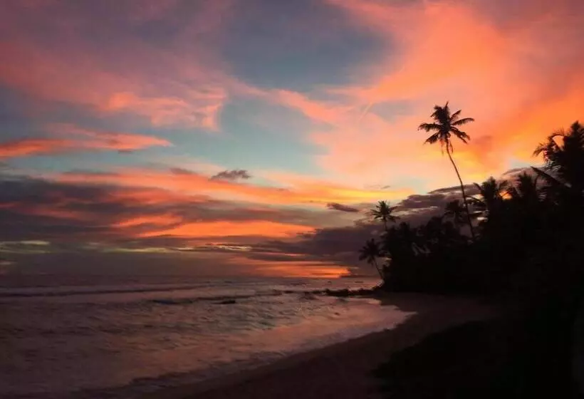 ホテル Sabine Holiday Resort And Restaurant