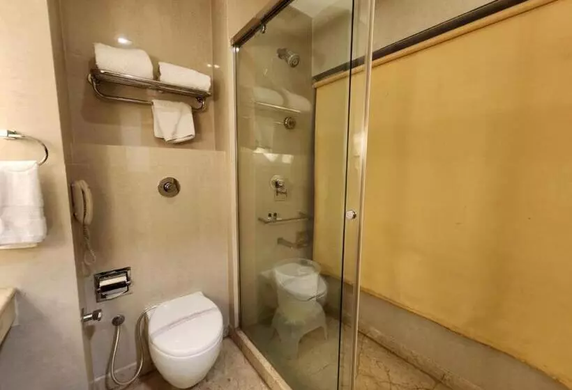 ホテル Royal Ark   Kasauli