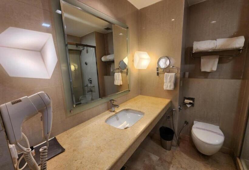 酒店 Royal Ark   Kasauli