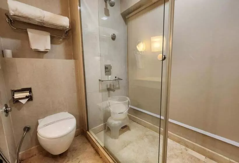 ホテル Royal Ark   Kasauli