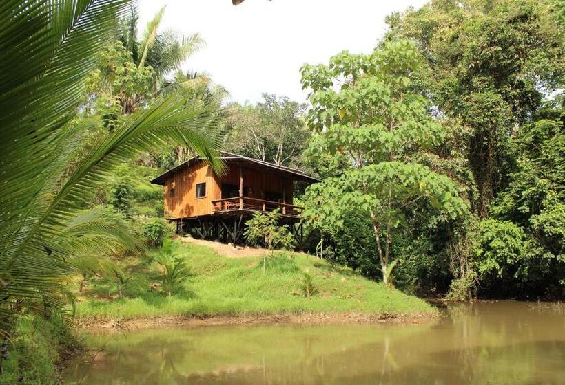 Natural Drake Bay Hotel Boutique