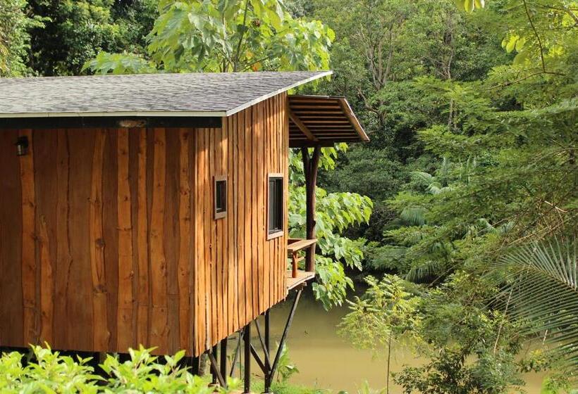 Natural Drake Bay Hotel Boutique