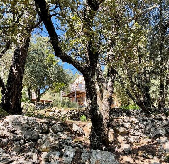 膳宿费 Gite La Teranga